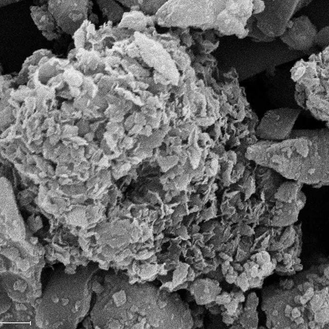 scanning electron microscope photo of pumice dust particle